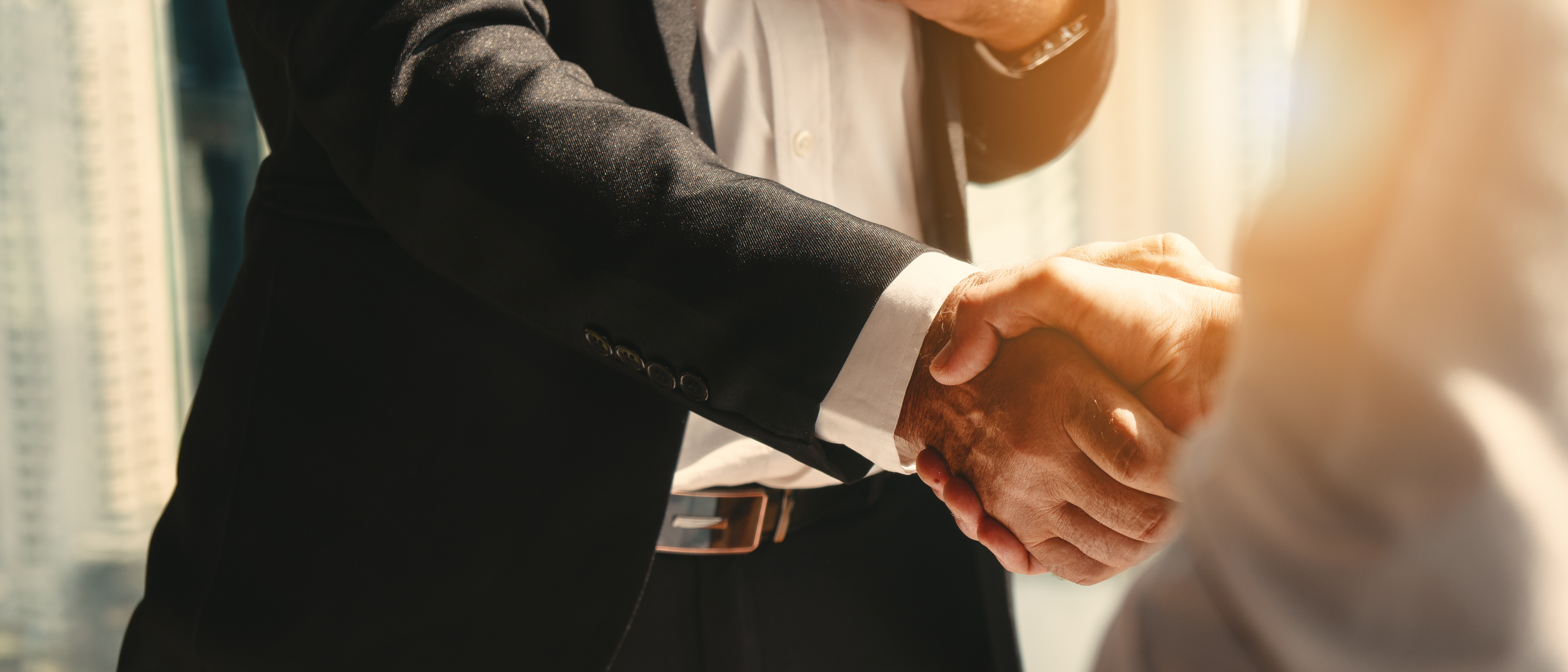 Two businessmen in formal attire shaking hands in professional setting
